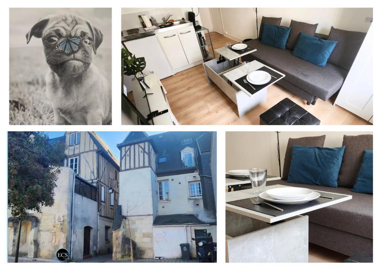 "Colbert Studio" Coeur De Ville - Cathedrale Saint Gatien Tours Exterior foto